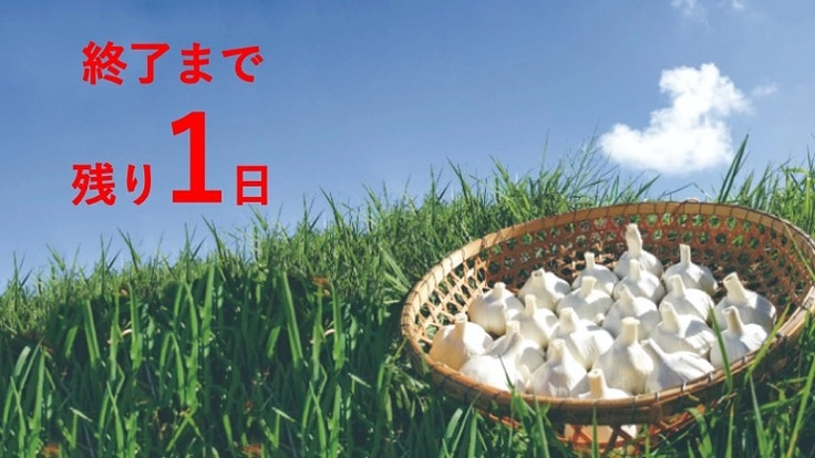 甘み濃厚、風味豊か。石堂ファームのにんにくをご賞味あれ！