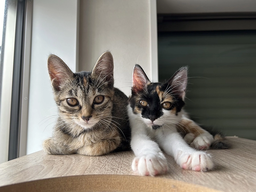 ７月の中間報告！