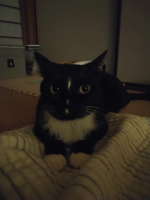 6/22はなちゃんの様子