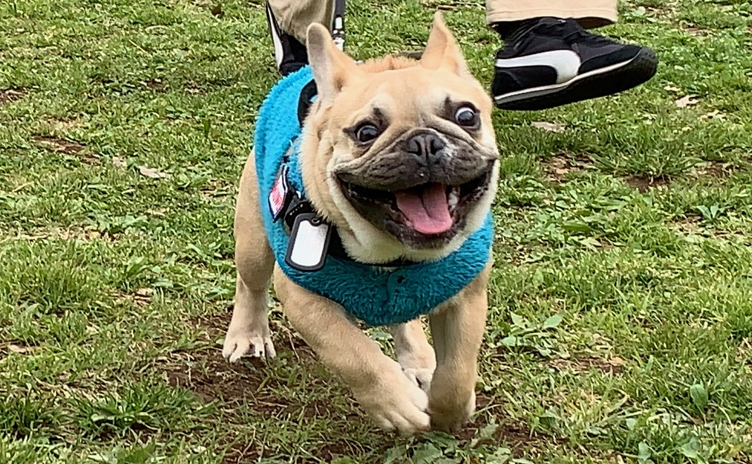 2⃣感謝のメールと画像