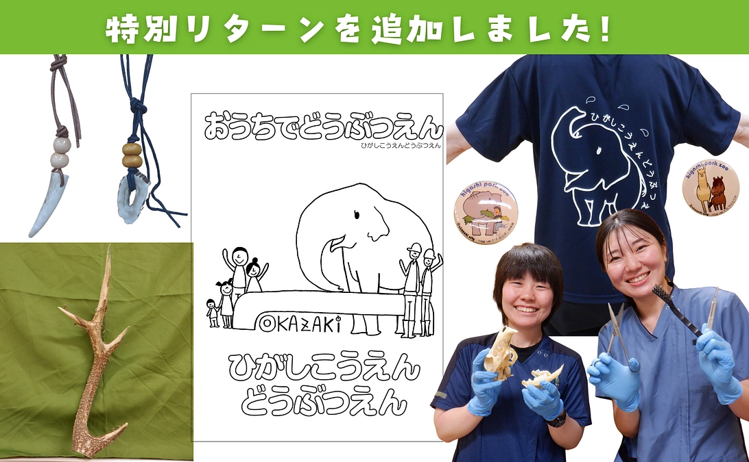 【ご支援をご検討中の皆様へ】終了まであと9日！ラストスパートの特別リターンを5つ追加しました！