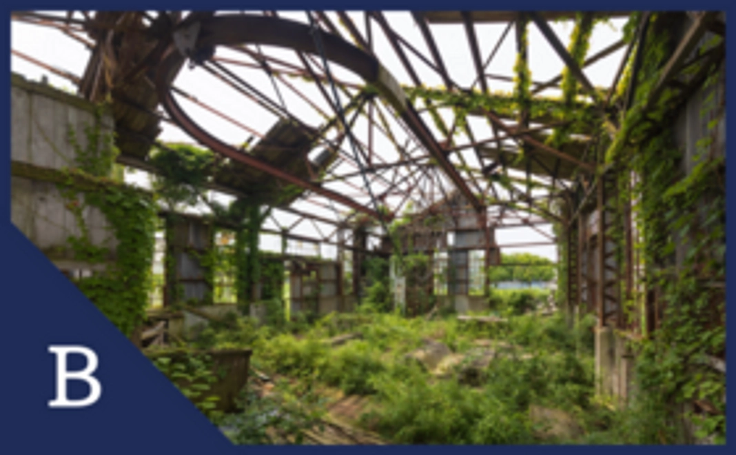 B）支援者限定！オリジナル写真集コース