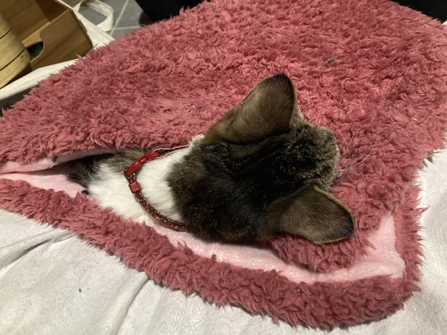 達成報告後から何も報告できずすみません💦