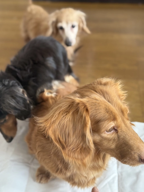 📢 クラウドファンディング目標達成のご報告と感謝✨