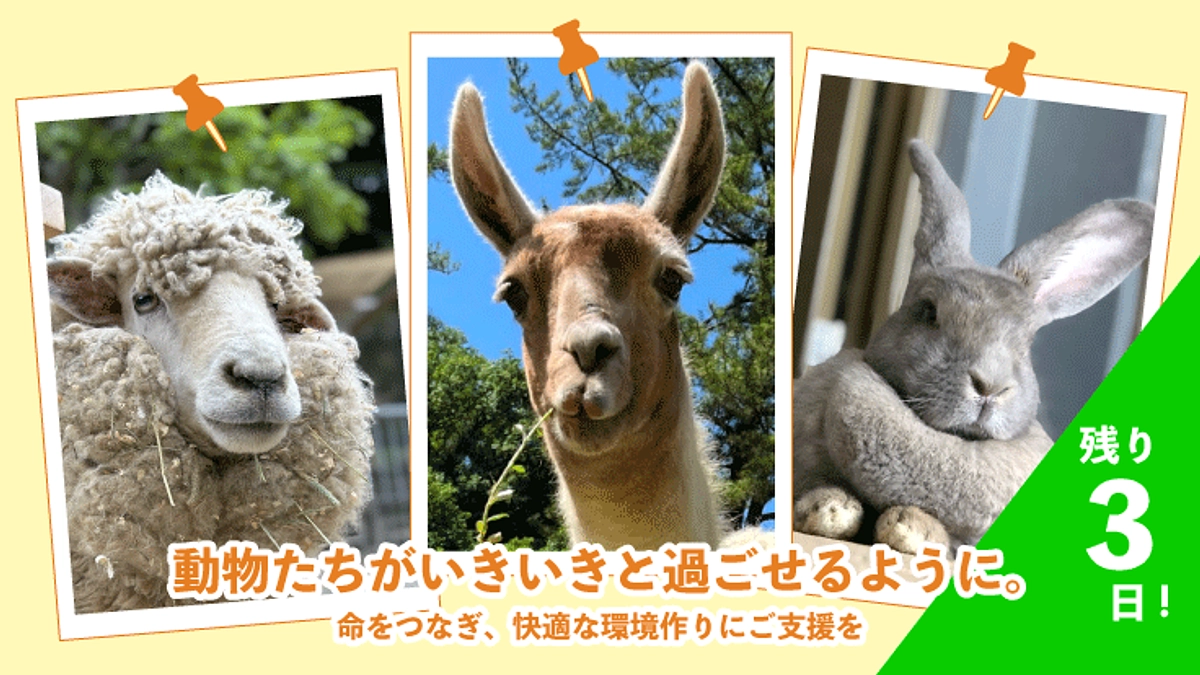 【活動報告65】いただいたご支援でできること！～プロジェクト終了まで【あと3日】～