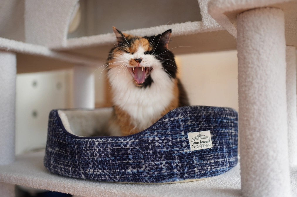 【感謝！第一関門30％突破！】皆様からの応援コメントを紹介します！