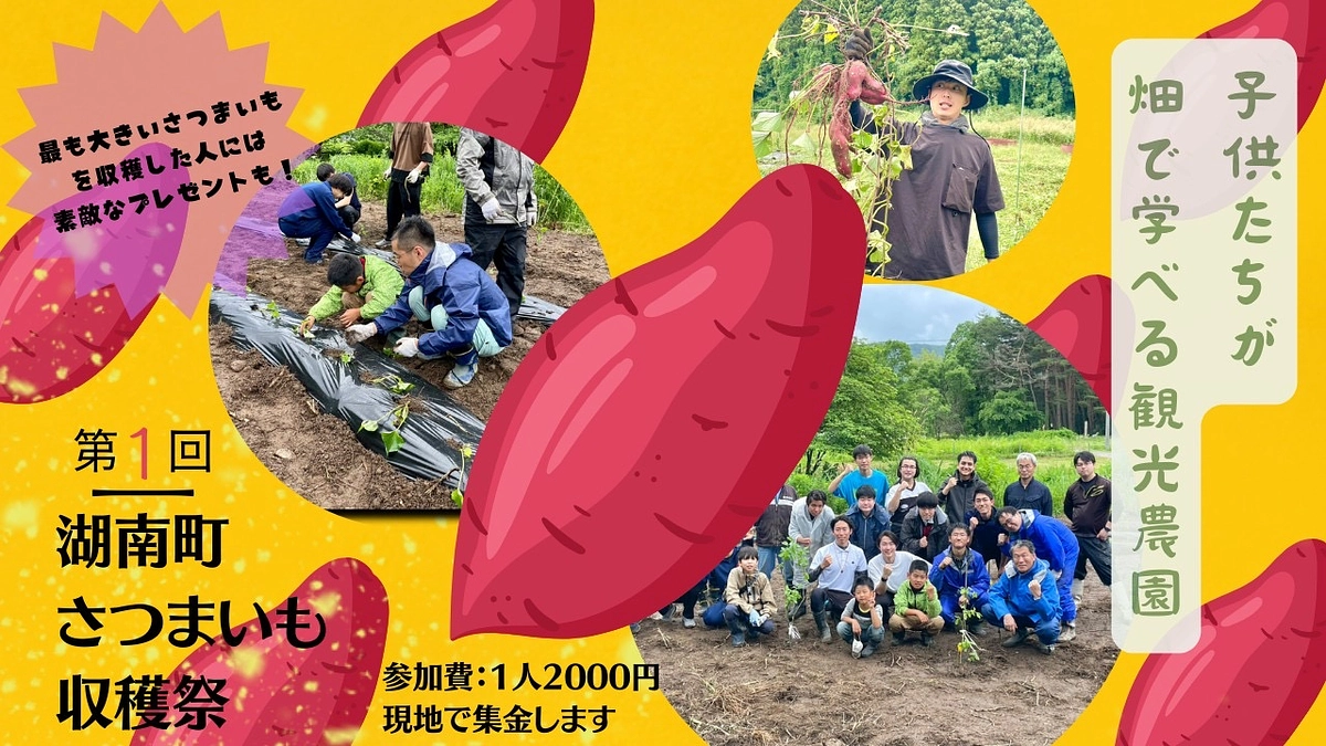 サツマイモ収穫祭開催します🍠　遊休地の畑で水草の『堆肥化』と『作物栽培』に挑戦中！