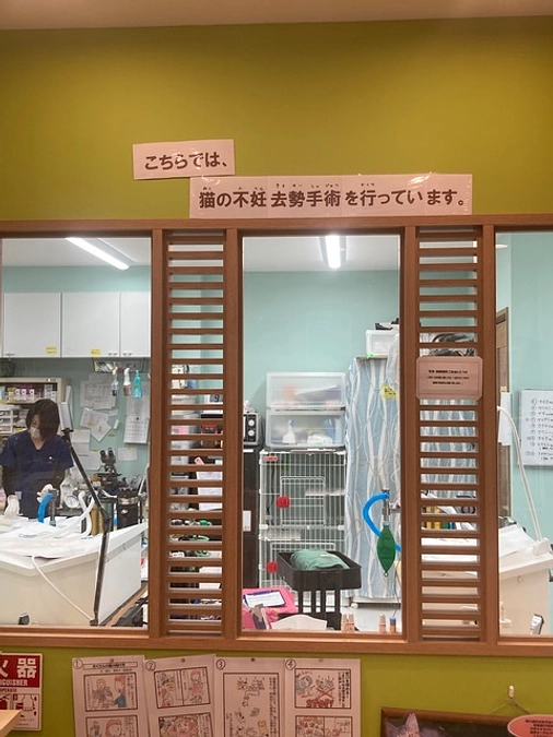 Happy Tabby Clinic研修記①