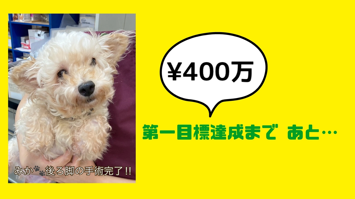 【第一目標金額400万まで あと¥190,000！】皆様の応援を力に変えて、命を救います