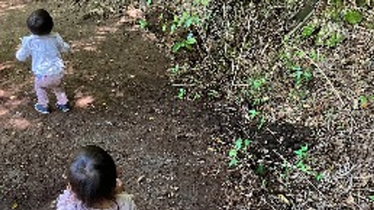 5/5（日）路網整備＆ちびっ子モニター