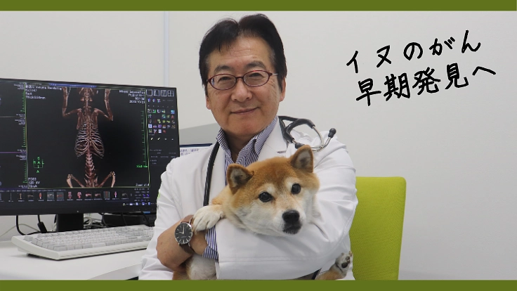 4頭に1頭が発症するイヌのがん、血液一滴から早期発見の検査実現へ