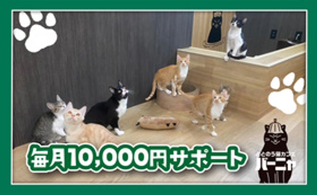 猫の健康診断分相当ご支援(1匹分)