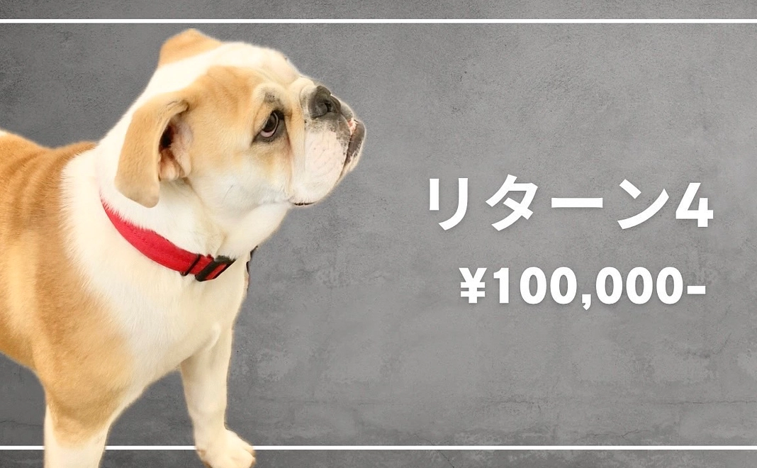 ぶるほむチケット¥10,000プラン！