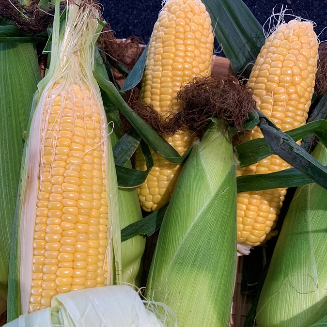 片品村特産とうもろこし「恵味」を含むリターン商品の発送開始