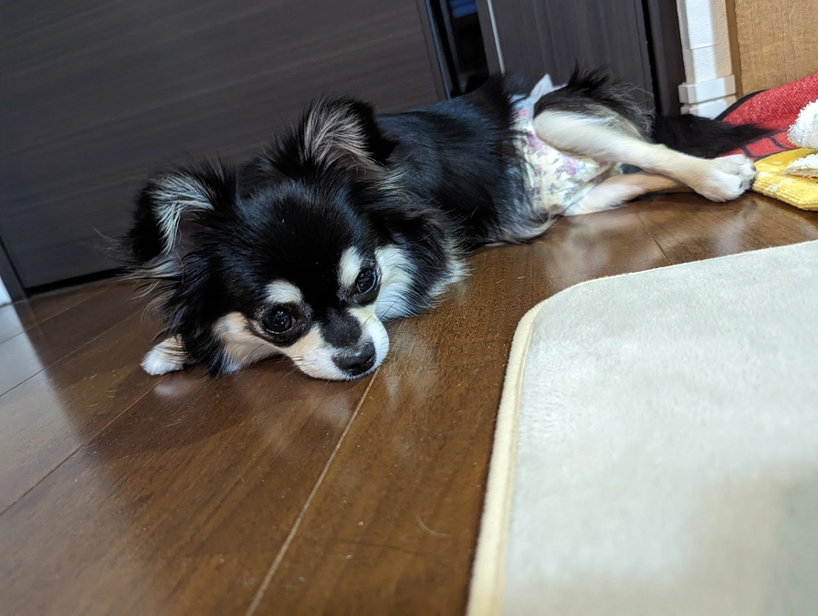 成長を感じます✨