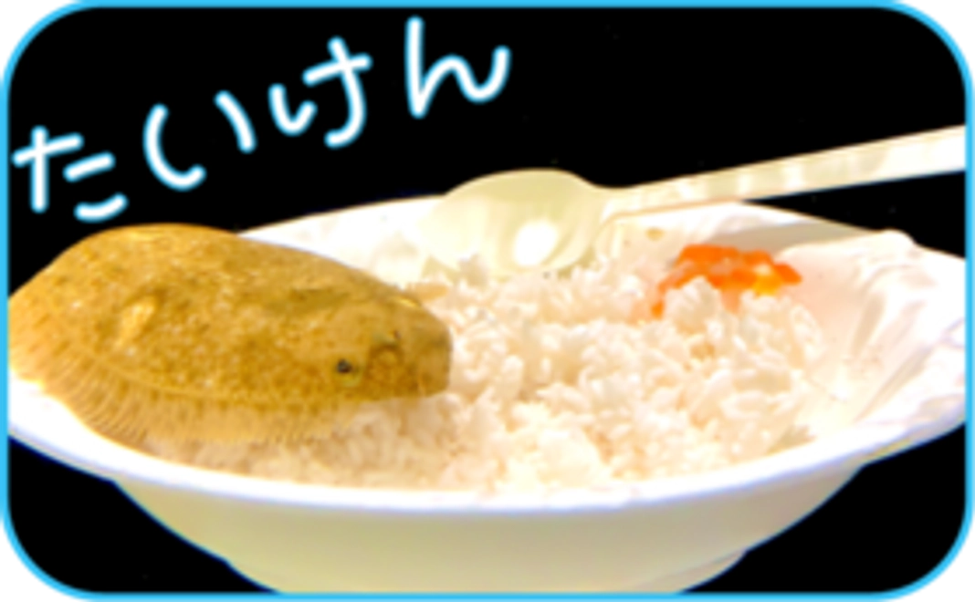 【体験しよう】好きな生き物たちに餌をあげてみよう!コース