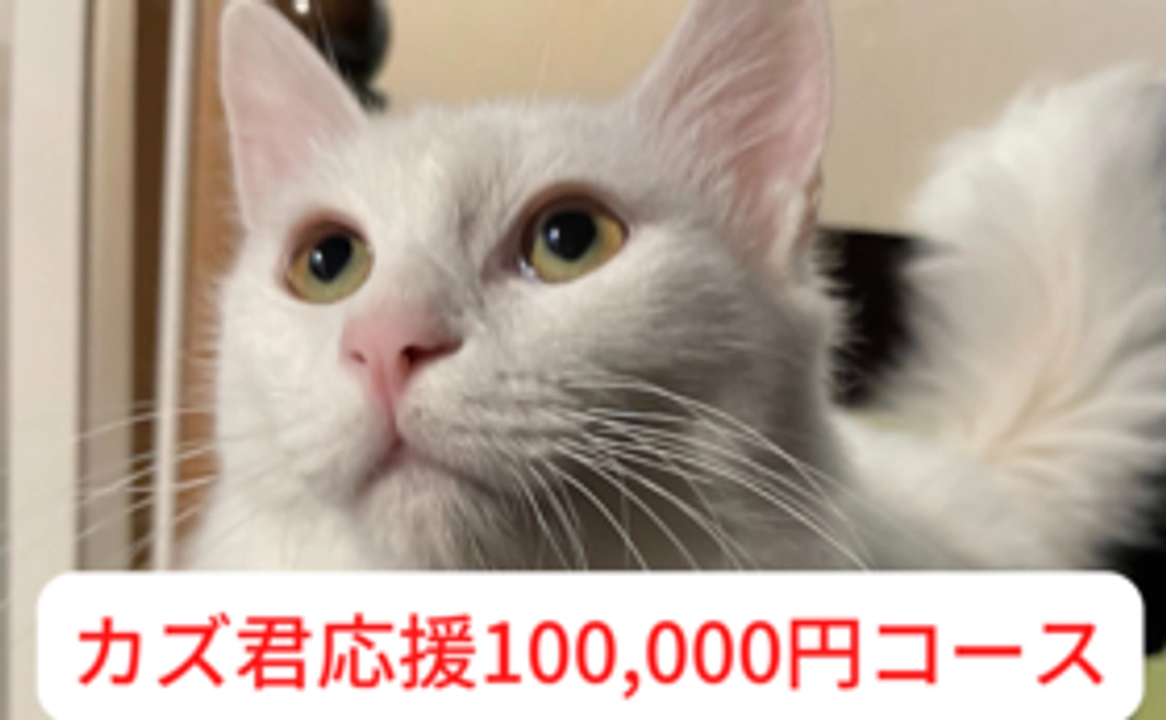 カズ応援コース　100000円