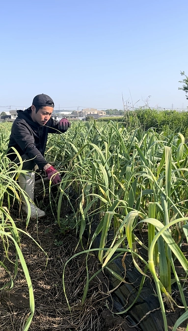 【本日23時終了】日本の大切な土地を後世に残す