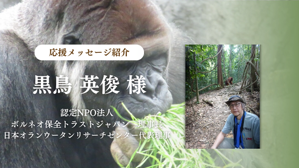 認定NPO法ボルネオ保全トラストジャパン 理事長 黒鳥 英俊様からの応援メッセージのご紹介