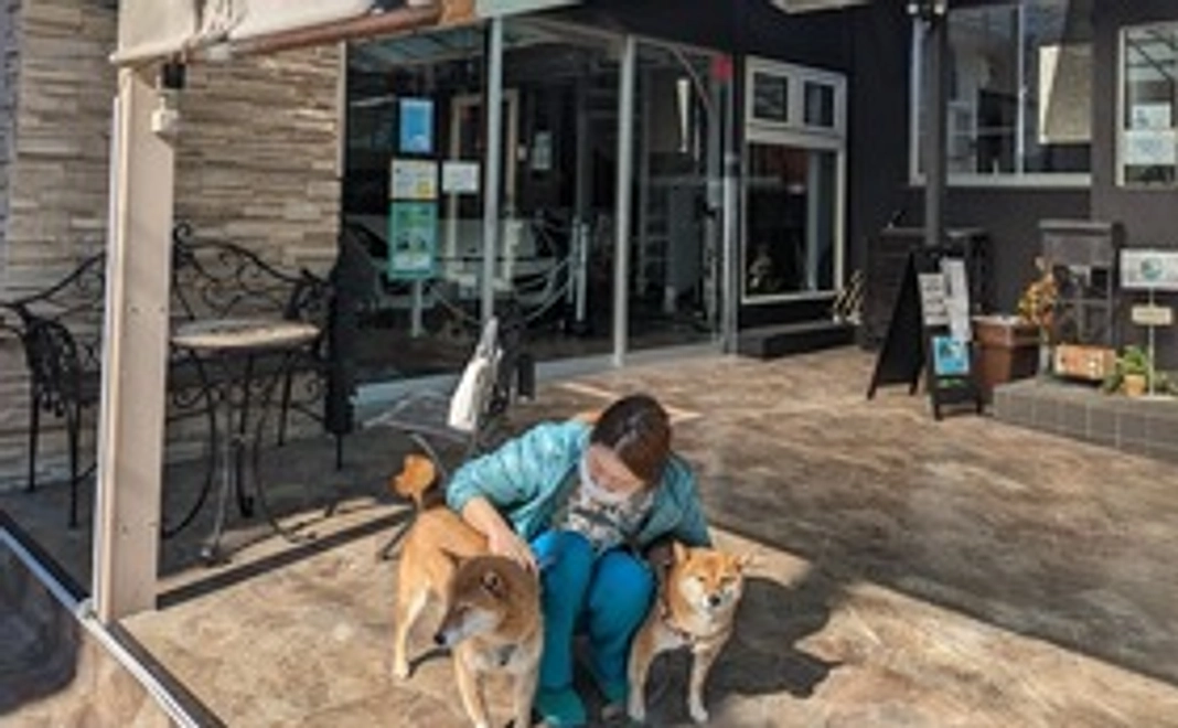 感謝メール、ワンちゃん達の写真プレゼント