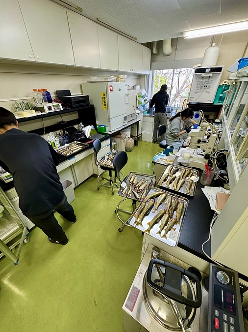 ラボ学生ら、頑張っています！