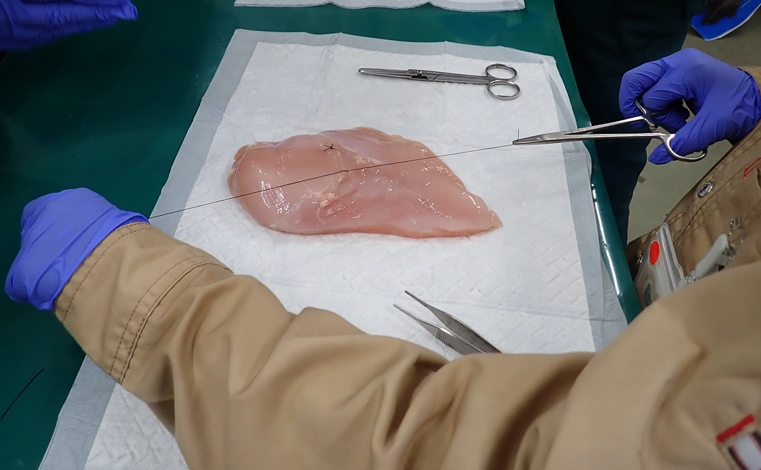 【体験】獣医師と歩く!ときわ動物園ツアー