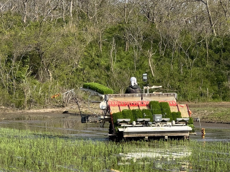【活動報告】田植え作業の開始と早々に緊急事態発生！？