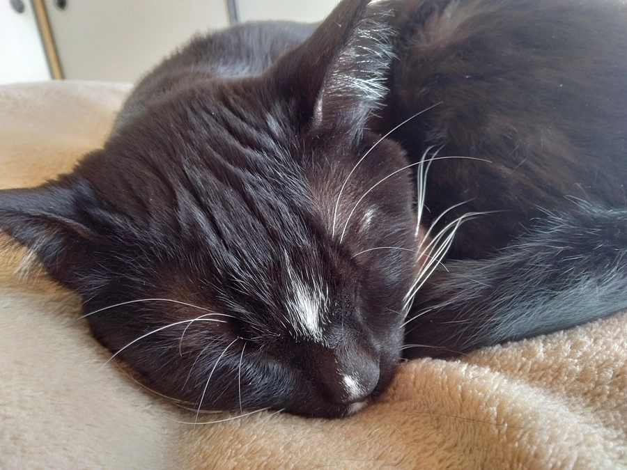 2/4はなちゃんの様子