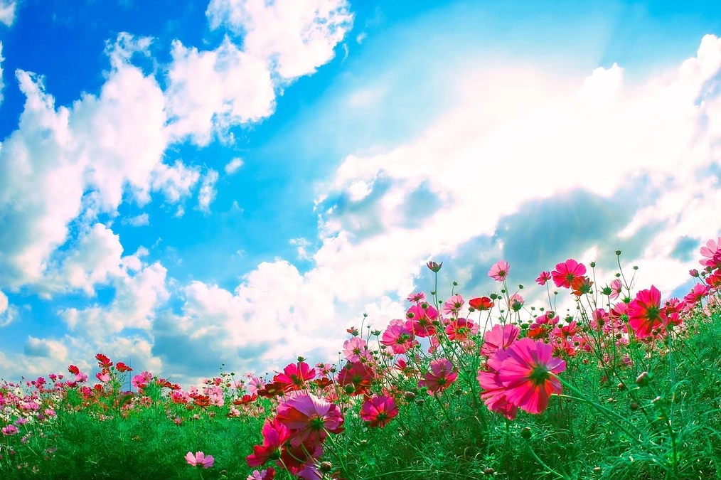 2023.12.23 - No02／カレンダーの発送について