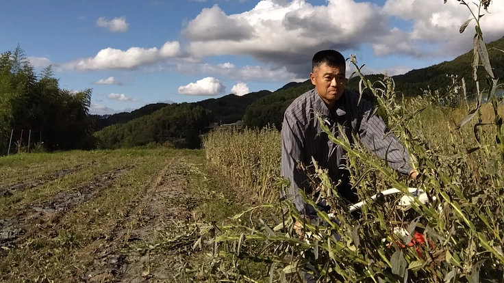 市場流通0.1%以下の「国産ごま」を信州から全国へ世界へ発信