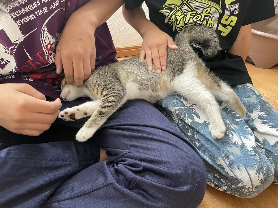 【号外】懐っこい！