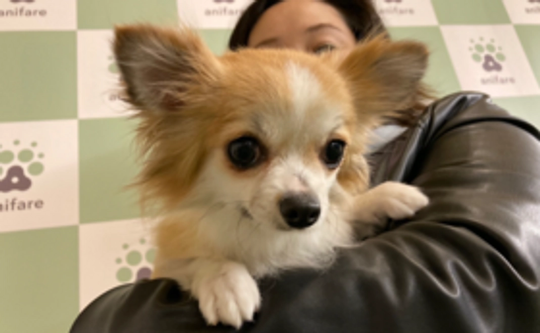 【1万円】スタンダードコース