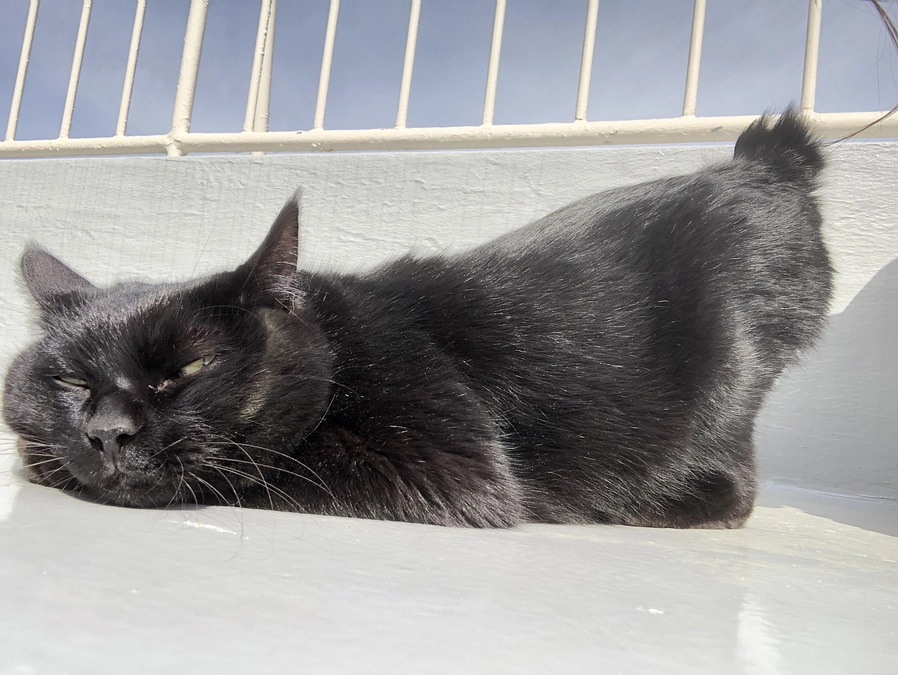 カウントダウンはじまりました。