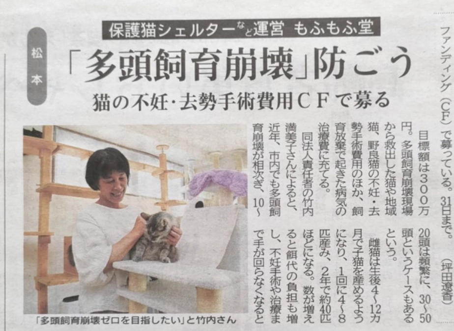 【記事掲載報告】MGプレスさんに掲載されました！