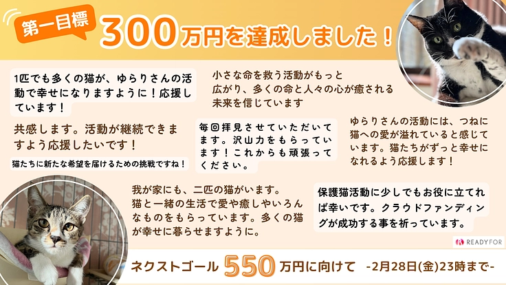 1匹でも多くの猫を幸せにしたい!│東久留米の保護猫活動にご支援を 2枚目