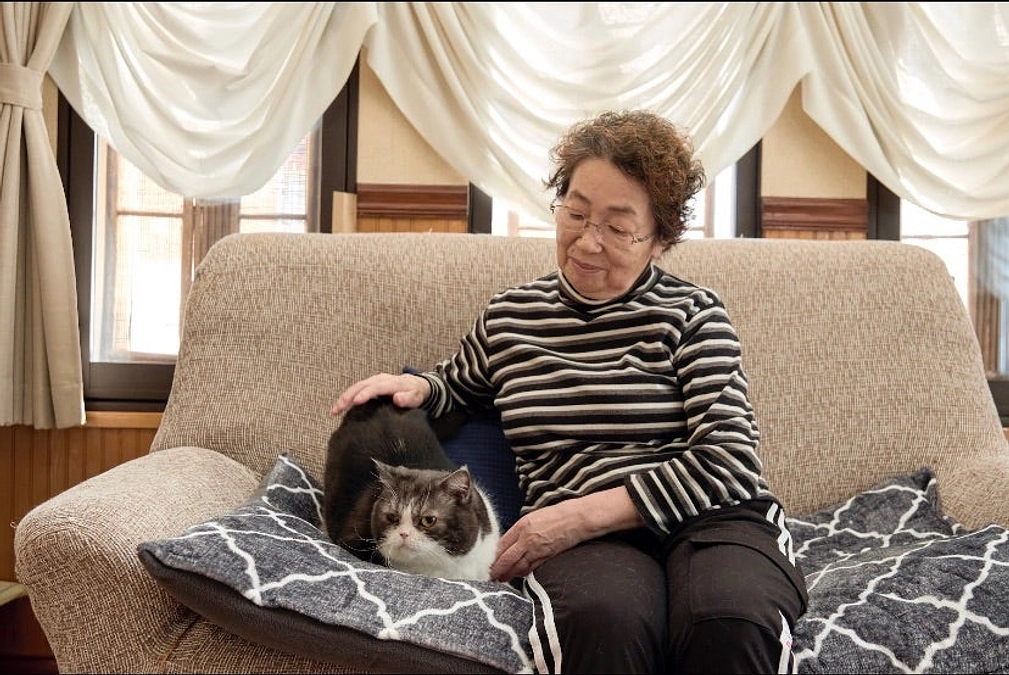 ANIMANECT（アニマネクト）の「60歳以上の方向け保護猫提供サービス」のご紹介