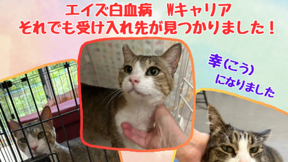 猛暑の７月も終わりました！