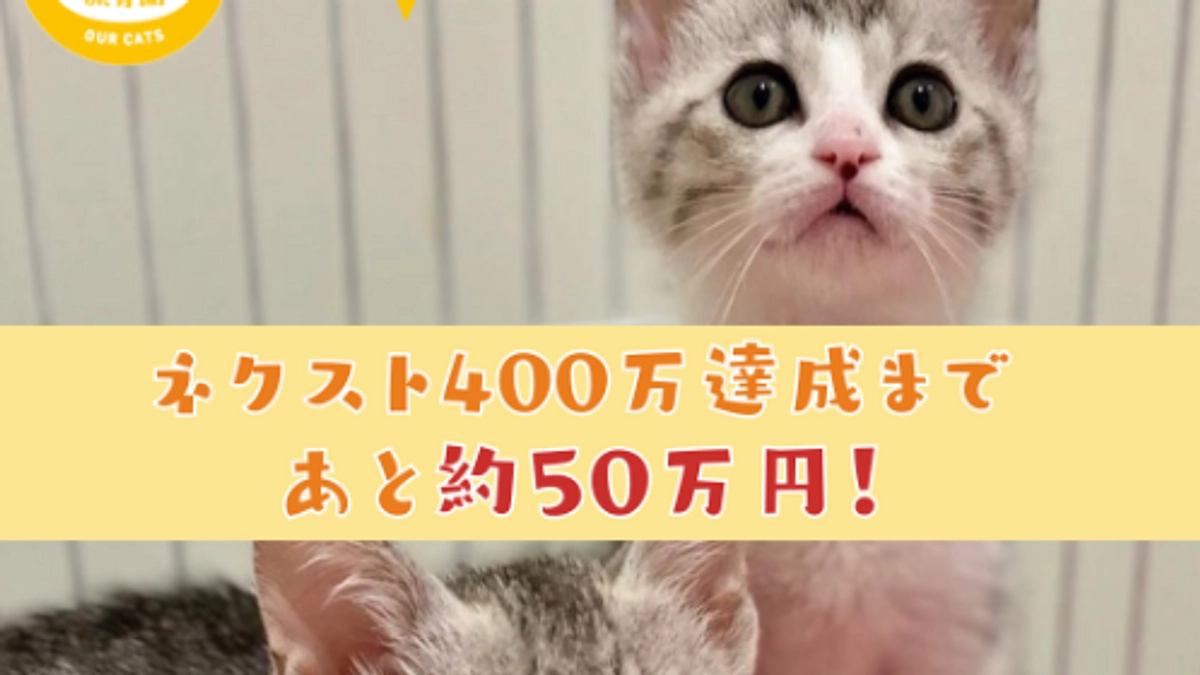 第6弾プロジェクト【残り7時間！ 】ここまでどうもありがとうございます！！