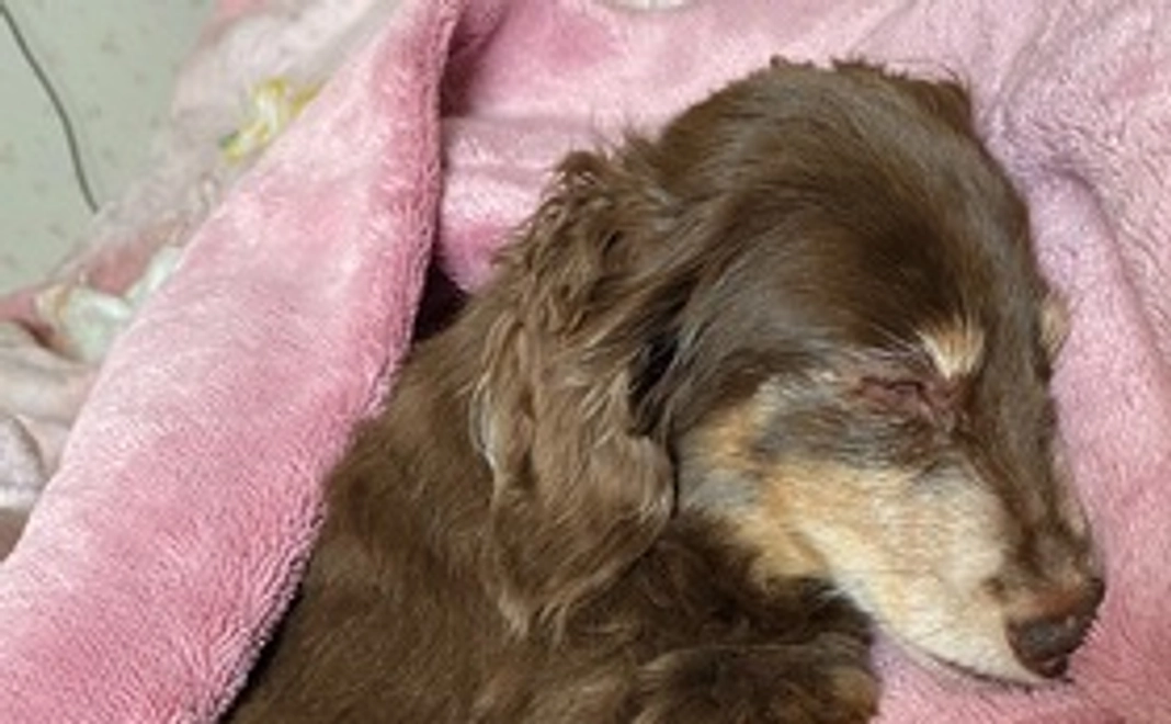 感謝を込めたメール