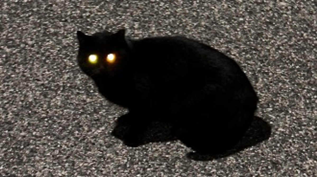 おはようございます☀️