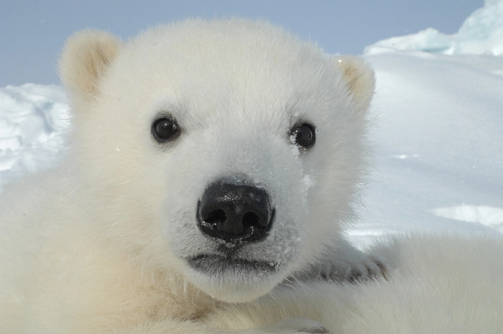 【残り2日】クラウドファンディング第二弾！