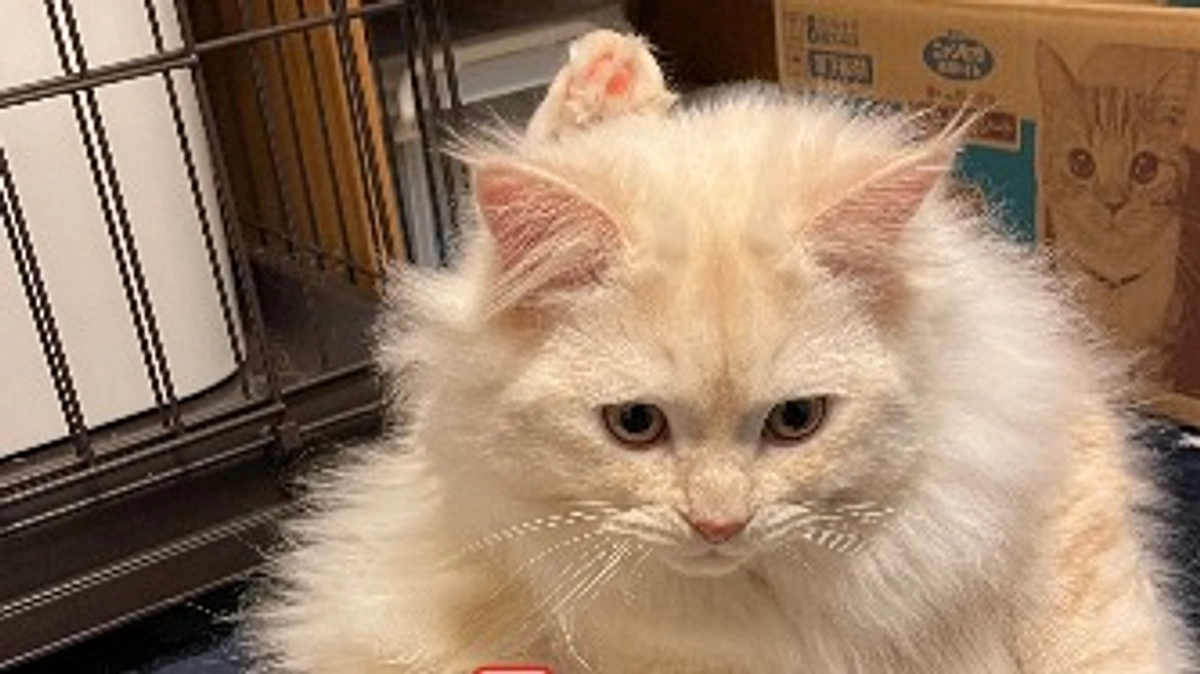 今日のトキ☀️🍃