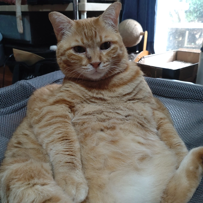 まだまだ　ポッチャリ⁉😅