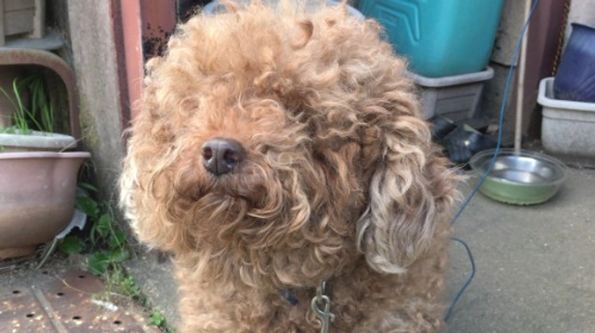 【ご支援・応援ありがとうございます！】第一目標達成の感謝とネクストゴール1000万円の決意