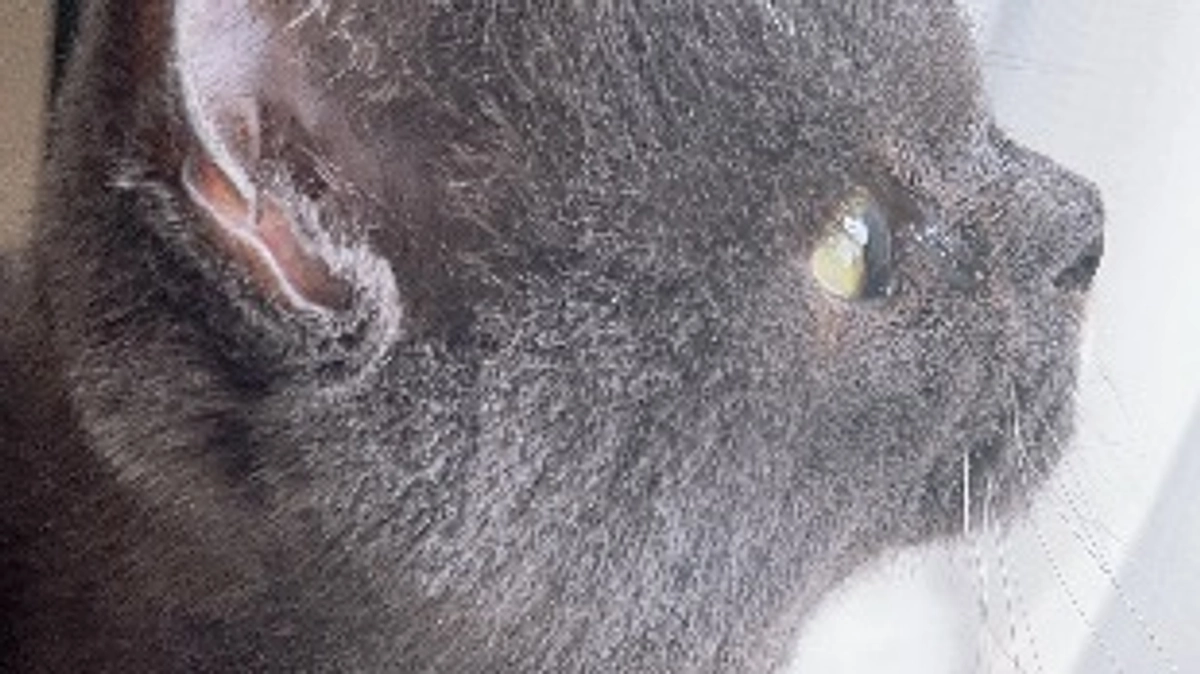 8月29日のプルート