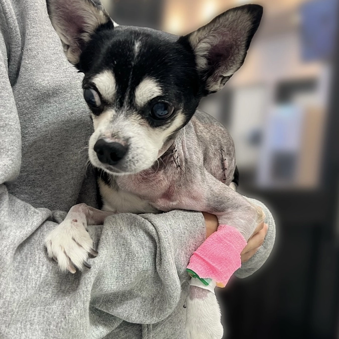 🫀術後2日目🫀