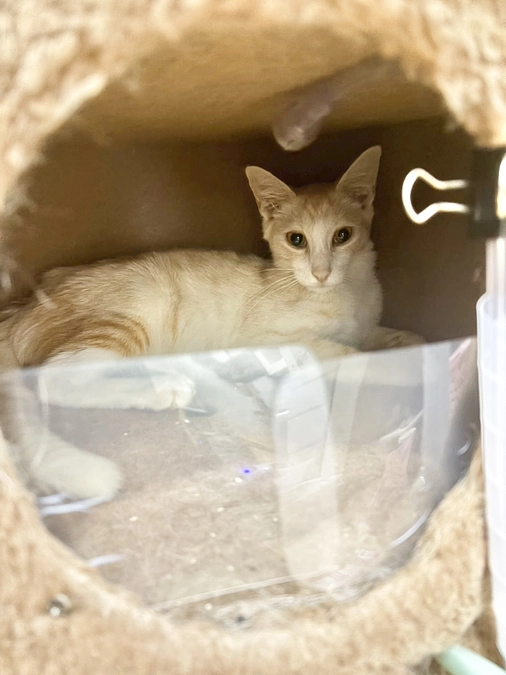 丸ちゃんお空に帰りました