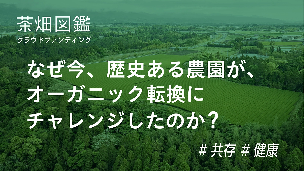 【詳しく①】なぜ大塚園が茶畑のオーガニック転換にチャレンジしたのか？