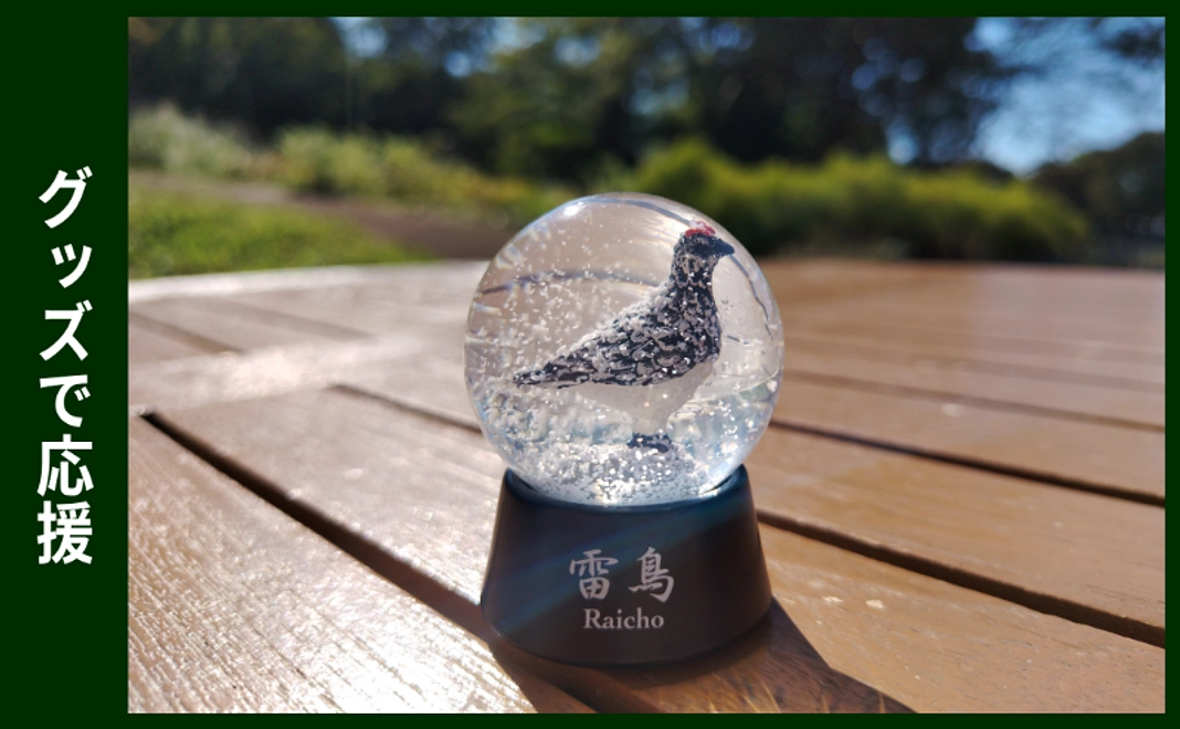 グッズで応援｜ライチョウスノードーム
