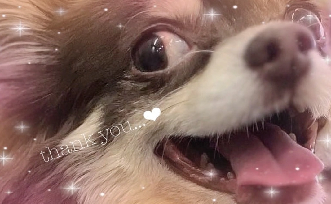 くりを応援!!1000